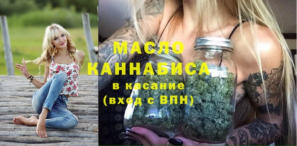 скорость Вяземский