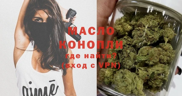 скорость Вяземский