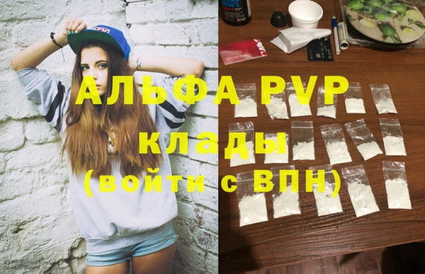 скорость Вяземский